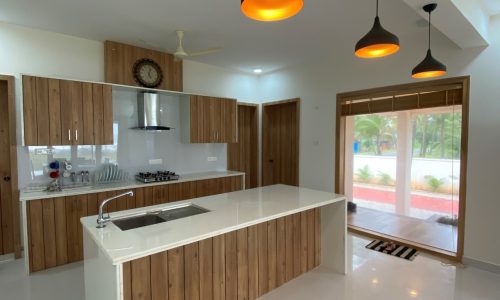 Picture6